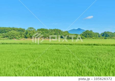 8月夏の筑波山 105626372