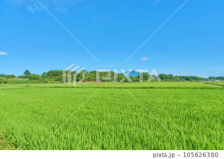 8月夏の筑波山 8月夏の筑波山 105626380