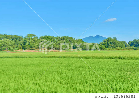 8月夏の筑波山 8月夏の筑波山 105626381