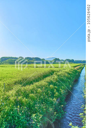 8月夏の筑波山 8月夏の筑波山 105626402