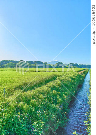 8月夏の筑波山 105626403