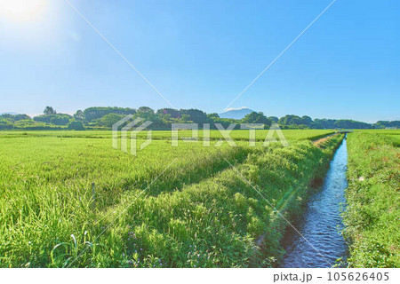8月夏の筑波山 8月夏の筑波山 105626405