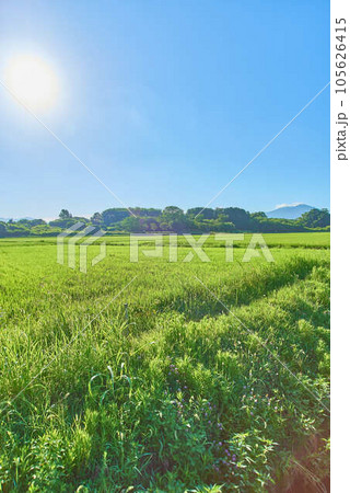 8月夏の筑波山 8月夏の筑波山 105626415