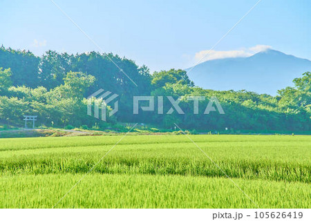 8月夏の筑波山 105626419