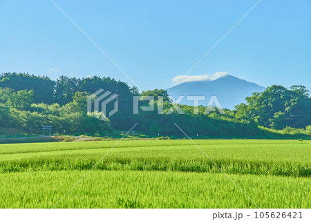 8月夏の筑波山 105626421