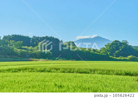 8月夏の筑波山 8月夏の筑波山 105626422