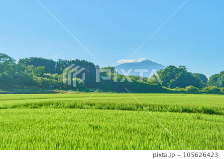 8月夏の筑波山 105626423