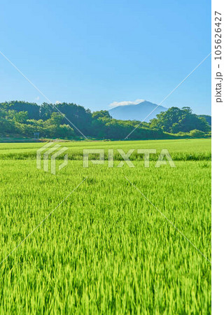 8月夏の筑波山 8月夏の筑波山 105626427