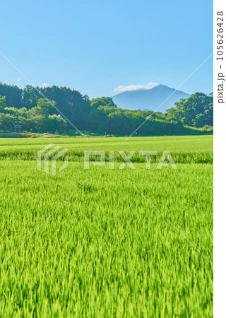8月夏の筑波山 105626428