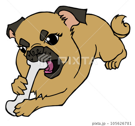 大好きな骨を食べるフォーンの子犬 105626781