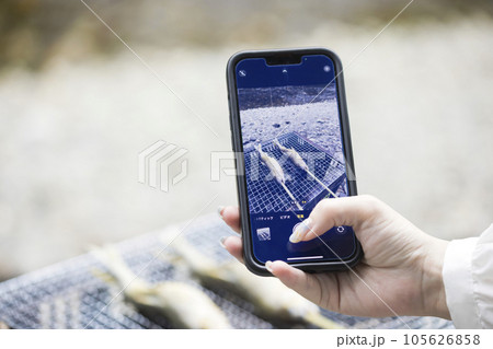 バーベキューで鮎の塩焼きを撮影する若い女性手元 105626858