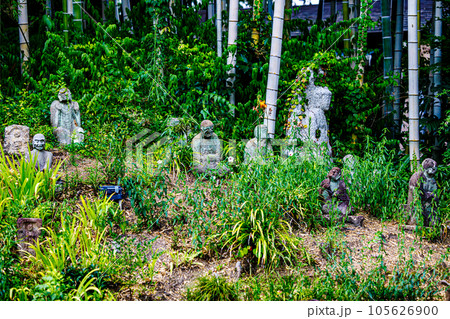 京都、白沙村荘竹藪の羅漢 105626900