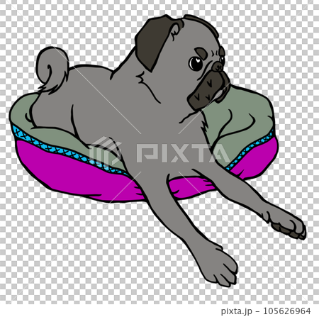 一隻黑色哈巴狗在房子裡休息 一隻黑色哈巴狗在房子裡休息 105626964