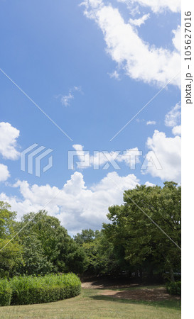 夏の青空と白い雲 105627016