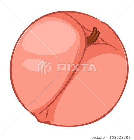 Peach fruit with juicy flesh and lush taste vector 105628202