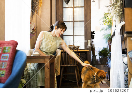 ドックカフェ　若い女性　犬　イメージ 105628207