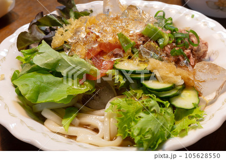 日本の暑い夏のとても美味しいサラダうどん 日本の暑い夏のとても美味しいサラダうどん 105628550