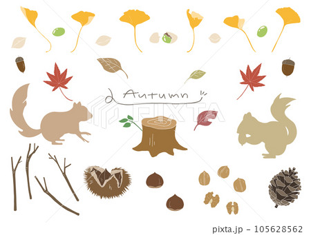 秋の装飾素材セット、ベクター 秋の装飾素材セット、ベクター 105628562