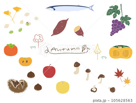 秋の味覚のセット素材、ベクター 105628563
