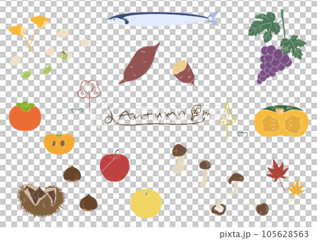 秋の味覚のセット素材、ベクター 105628563