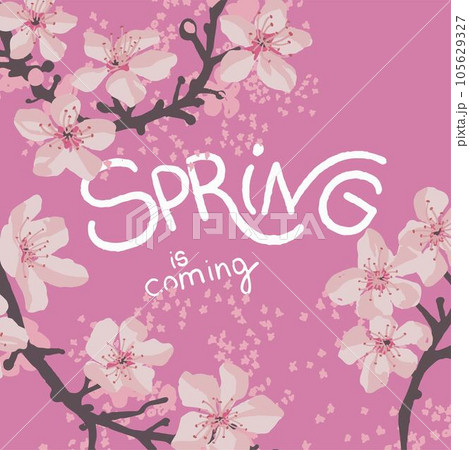 Spring is coming, cherry tree blossom on banner 105629327