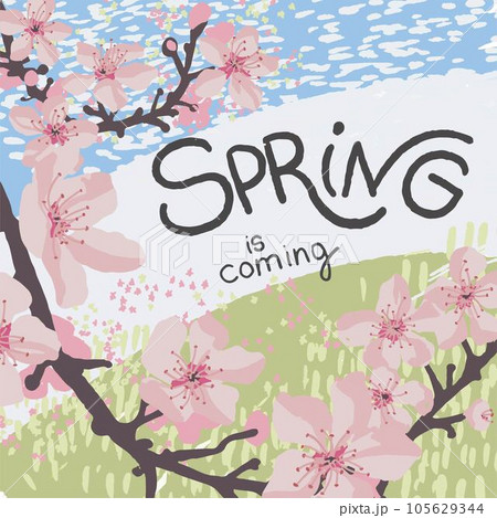 Spring is coming, sakura tree in blossom in march 105629344
