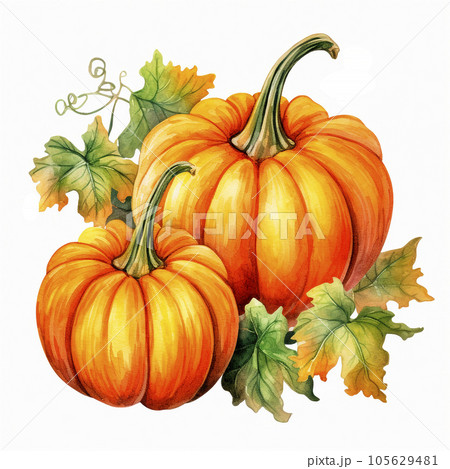 Autumn watercolor illustration with pumpkins and flowers leaves isolated on white background. Watercolor hand-painted perfect for design decorative greeting cards, or posters in the autumn festival. 105629481
