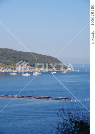 徳島県阿南市椿泊町の風景 徳島県阿南市椿泊町の風景 105629586