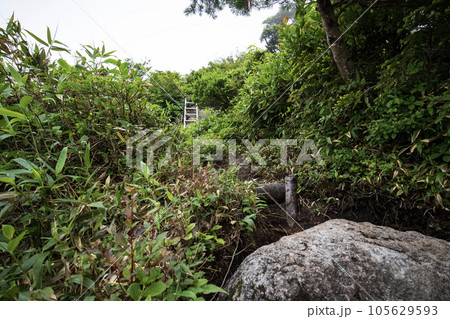 帝釈山（福島・栃木県境）登山道の梯子 105629593