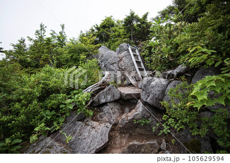 帝釈山（福島・栃木県境）登山道の梯子 105629594