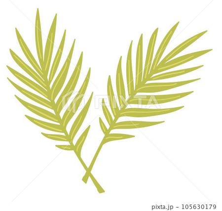 Tropical leaves, exotic foliage and decor vector Tropical leaves, exotic foliage and decor vector 105630179