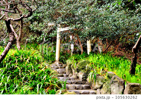 鎌倉市 荏柄天神社境内の熊野権現社 105630262