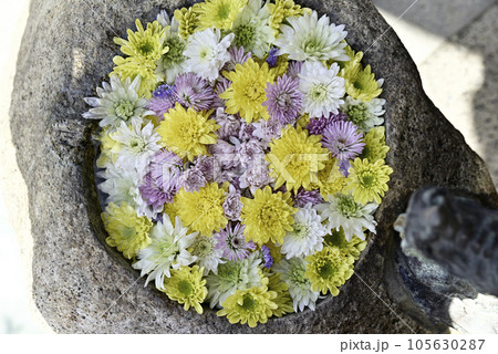 花手水 花手水 105630287