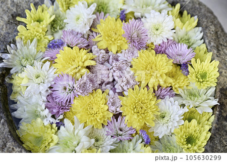 花手水 花手水 105630299