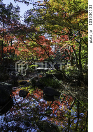 太田黒公園の紅葉 105630333
