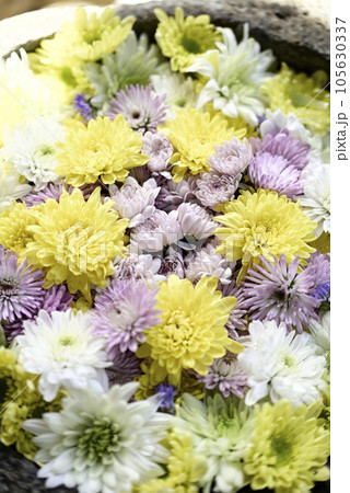 花手水 花手水 105630337