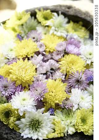 花手水 花手水 105630338