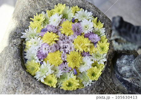花手水 花手水 105630413
