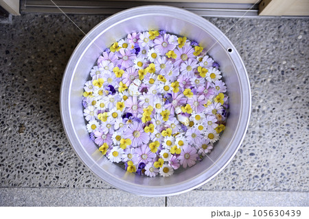 花手水 花手水 105630439