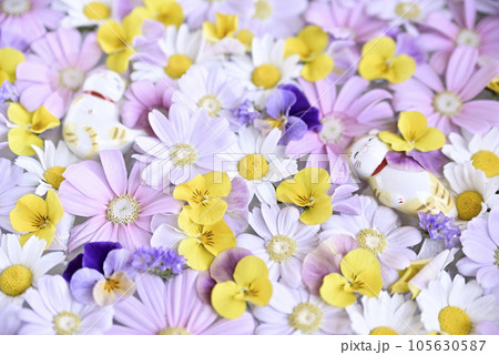 花手水 105630587