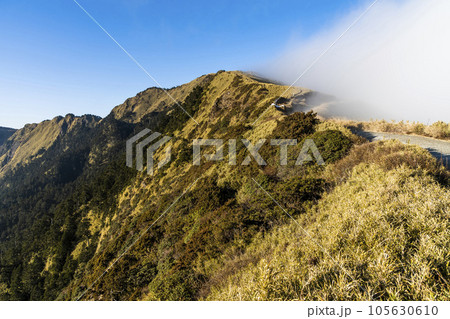 Layers of magnificent mountains landscape in Hehuanshan of Nantou, Taiwan. Taroko National Park is one of Taiwan's most popular tourist attractions. Layers of magnificent mountains landscape in Hehuanshan of Nantou, Taiwan. Taroko National Park is one of Taiwan's most popular tourist attractions. 105630610