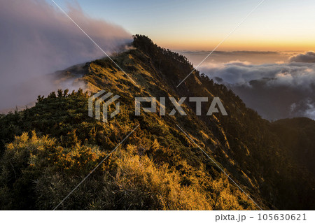 Sunset view of cloud sea in Hehuan Mountain Forest Recreation Area of Nantou, Taiwan. 105630621