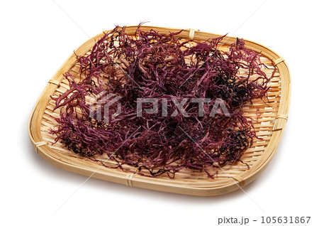 のげのり のげのり 105631867