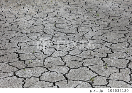 干魃、水不足のイメージ(ひび割れた田んぼ) 干魃、水不足のイメージ(ひび割れた田んぼ) 105632180