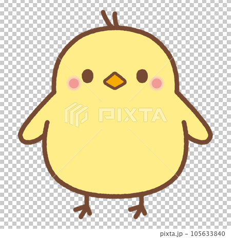 ヒヨコのイラスト 正面のイラスト素材 [105633840] - PIXTA