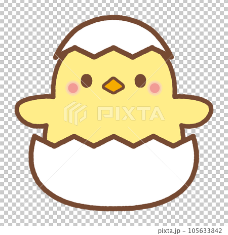 Chick illustration hatching 105633842