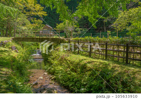 ささやまの森公園の風景 ささやまの森公園の風景 105633910