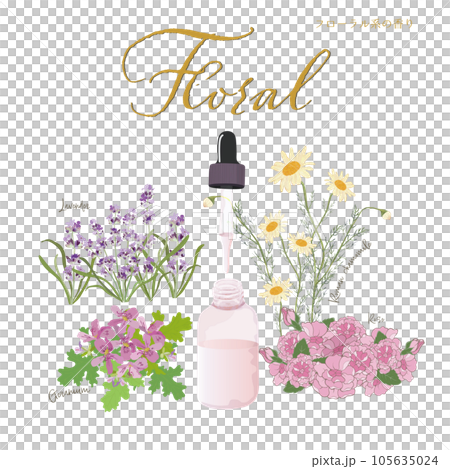 Floral, flower scent, aroma & essential oil, rose, geranium, lavender, chamomile 105635024