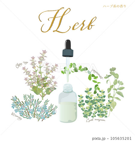 ハーブ系の香り・アロマ&精油・ローズマリー・クラリセージ・ペパーミント・マジョラム ハーブ系の香り・アロマ&精油・ローズマリー・クラリセージ・ペパーミント・マジョラム 105635201