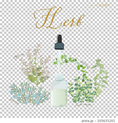 ハーブ系の香り・アロマ&精油・ローズマリー・クラリセージ・ペパーミント・マジョラム ハーブ系の香り・アロマ&精油・ローズマリー・クラリセージ・ペパーミント・マジョラム 105635201